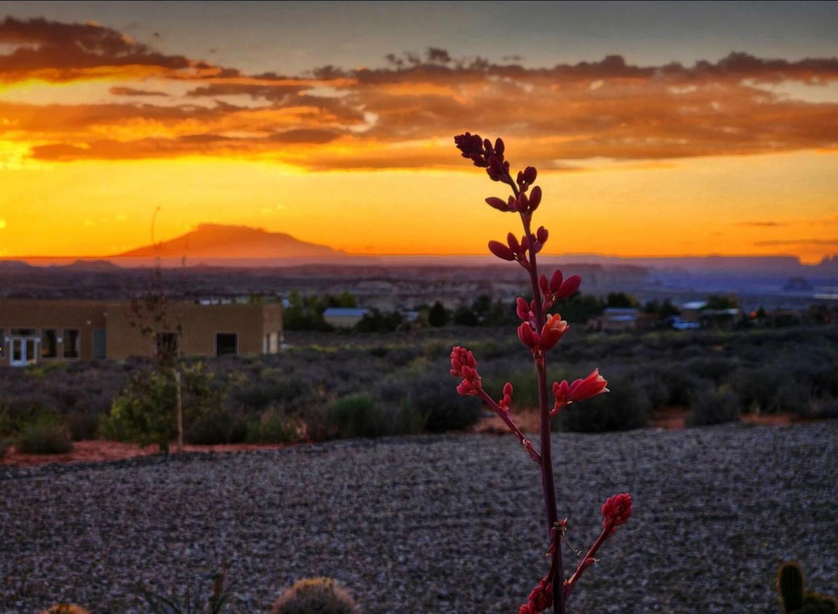 Page Arizona Border Town- Crimson Suite, Desert Canyon Getaway With Views Big Water Buitenkant foto